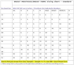 Breast Form Size Guide Breast Prosthesis Versus Mastectomy