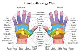 Hand Reflexology Chart White
