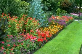 Flower Bed Of Only Perennials Comes