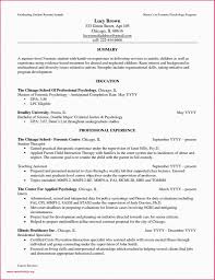 Criminal Justice Resume Objective Examples Criminal Justice Resume