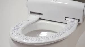 Toilet Seat With Automatic Seat