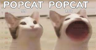 Popcat 🇹🇭 ปลดล็อคแมวหัวร้อน🔥 (29 ล้าน คะแนน) Dsnkhm3ejd0urm