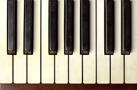 When cleaning plastic keys, be sure to pay attention to all parts of the keys. How To Safely Clean Your Piano Keys Insure4music Blog
