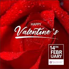 significance of red rose and valentines day