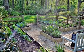 Material Options For Raised Beds