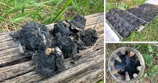 Diy Charcoal Briquettes Every Prepper