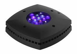 5 Of Our Favorite Controllable Led Lights For Nano Reef Aquariums Marine Depot Blog