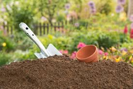 Can You Use Potting Soil In The Ground