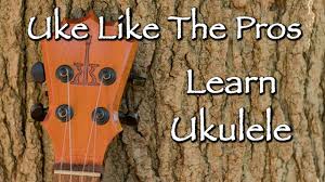 uke like the pros learn to play ukulele