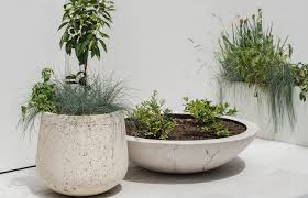 Pot Plant Pots Design Trend Of The
