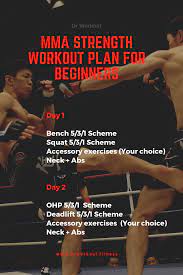 mma workout plan for beginners