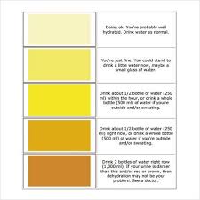 Urine Color Chart 7 Free Download For Pdf Color Of