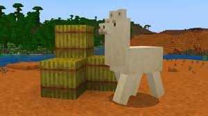 how to tame breed llamas in minecraft