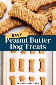 homemade dog treats recipe peanut