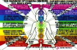 Charts Reflexology Acupressure Chakra Acupuncture More