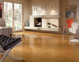 laminate and hardwood floor refinishing