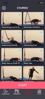 suspension isometrics workouts on the