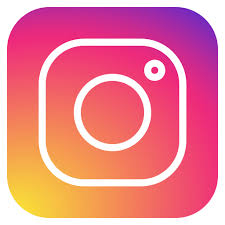 Ig, instagram, media, social Libero Icona di Social Media - Flat