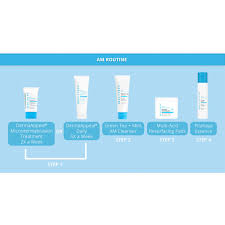 skinn cosmetics dermappeal microderm