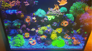 nano r aquarium