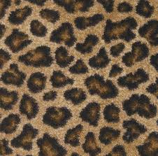 lowes stainmaster leopard carpet the