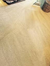 deep cleaning carpet cleaning steam