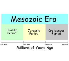 What Is The Mesozoic Types Of Animals Long Periods