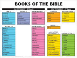 Books Of The Bible Wall Chart Laminated