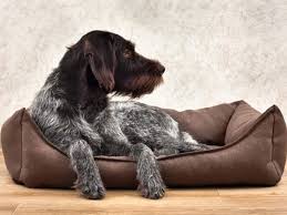 dog bed from sliding on a wooden floor