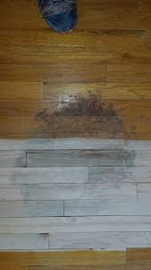 ann arbor hardwood floors mi pet stain