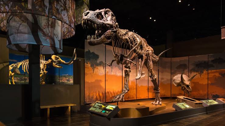 Tellus Science Museum