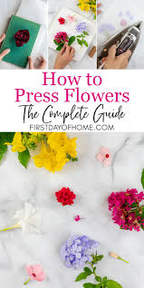 how to press flowers a complete guide