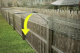 Electric fence online are the uk's largest online supplier for electric fencing, posts and other accessories. Purrfect Fence Uk Cat Fencing Enclosures And More