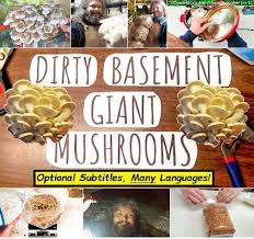 Dirty Basement Giant Mushrooms Family
