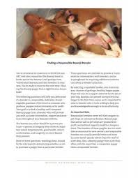 Includes details of puppies for sale from registered ankc breeders. Finding A Responsible Basenji Breeder The Basenji Club Of America