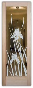 Glass Doors Interior Etched Glass Door