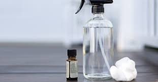 Diy Peppermint Oil Spider Repellent