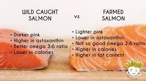why is wild caught salmon healthier