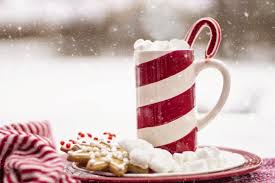 Image result for holiday images