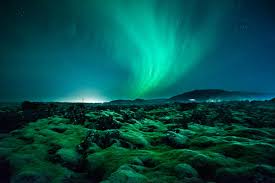 Visit Iceland The Land Of Wildlife And Tranquility Arts