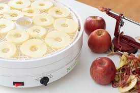 The Best Food Dehydrator Reviews By