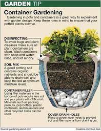 Container Gardening Tips For Homesteaders