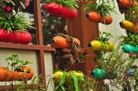 Vertical Gardening Grow More