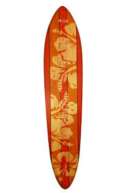 Amazon Com Vintage Surfboard Growth Chart Orange Hibiscus