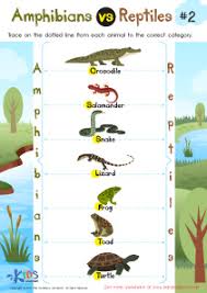Amphibians Vs Reptiles Worksheet For 3rd Grade