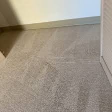 kiwi carpet cleaning 23 photos 35