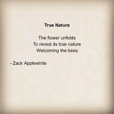 true nature haiku poetry thoughts