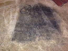 wnc carpet cleaning before and after