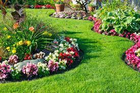 6 Lawn Edging Ideas For Landscaping