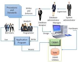 what is database system environment
